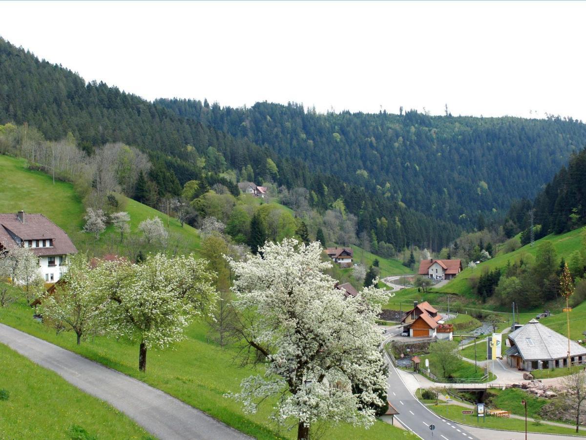 Landpension Am Sommerhang Bad Rippoldsau-Schapbach Exteriér fotografie