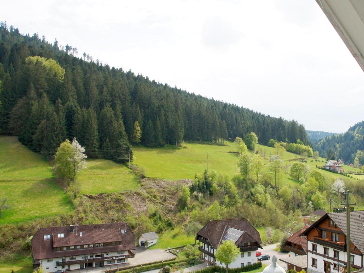 Landpension Am Sommerhang Bad Rippoldsau-Schapbach Exteriér fotografie