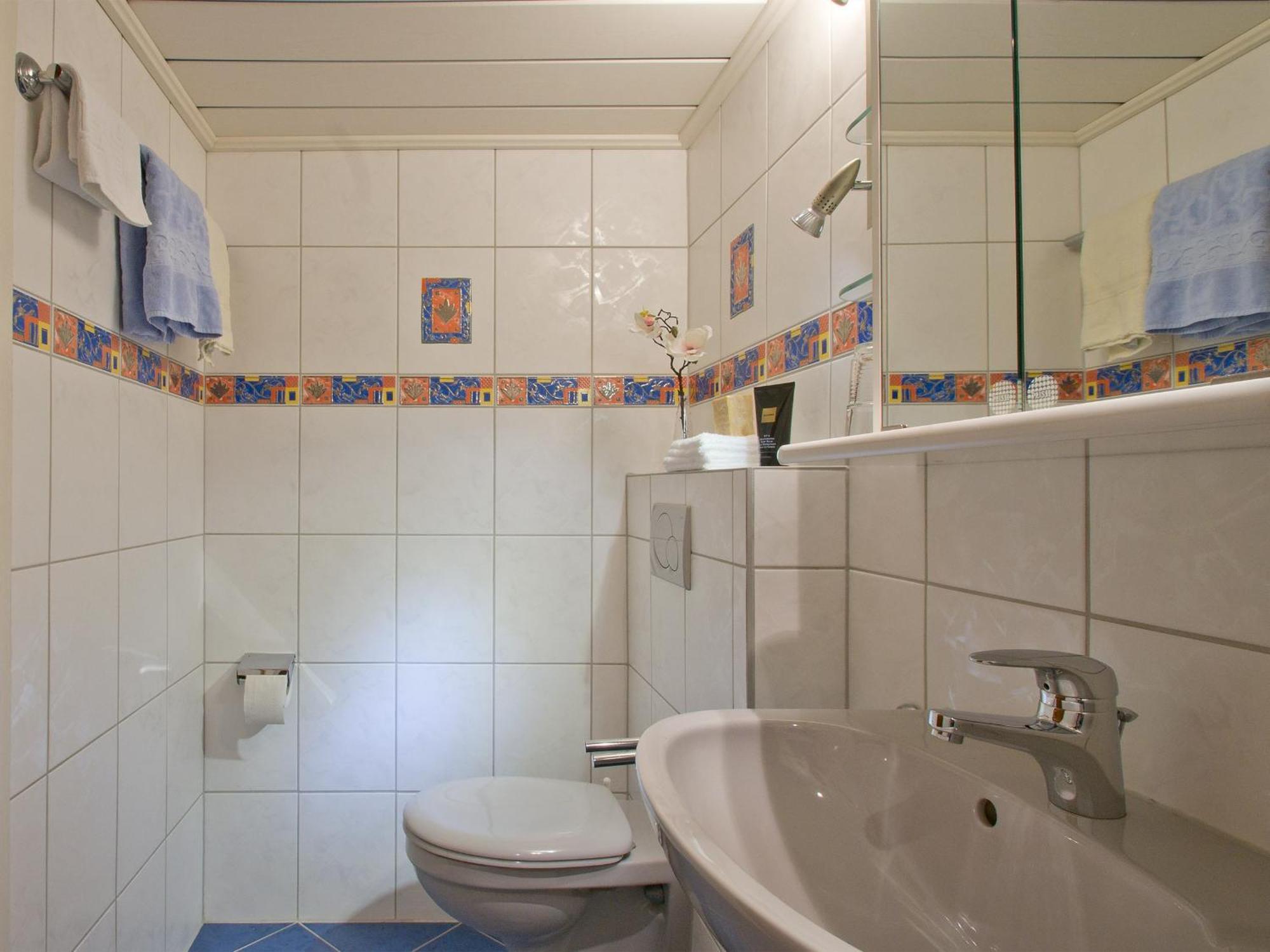Landpension Am Sommerhang Bad Rippoldsau-Schapbach Exteriér fotografie